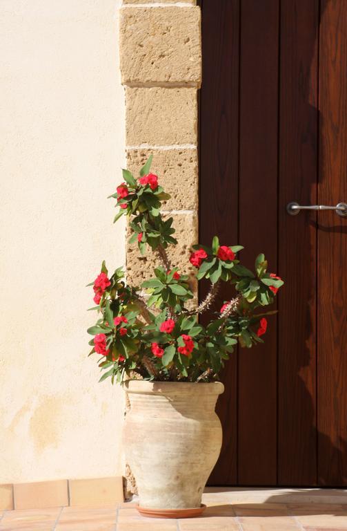 L'Antico Trappeto Holiday Home โนโต ภายนอก รูปภาพ
